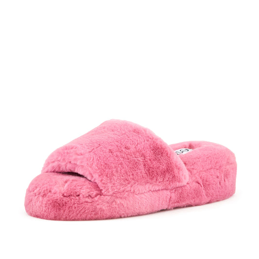Sliv Coral